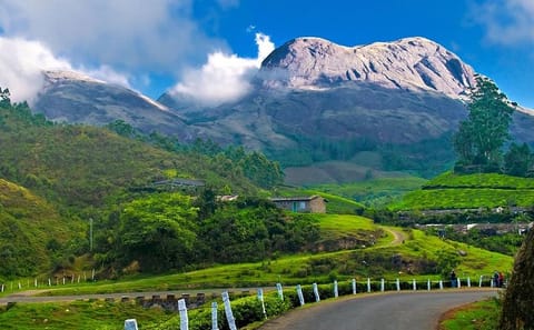 Luxury 7-Day Kerala Tour with Private Driver from Kochi