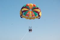 Private City Tour and Parasailing Adventure and Private transport - Hurghada