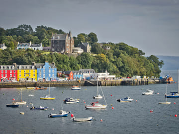 Mull, Iona and Staffa Puffin Experience (with single room)