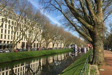 Private Guided Walking Tour of Düsseldorf's Culture and History