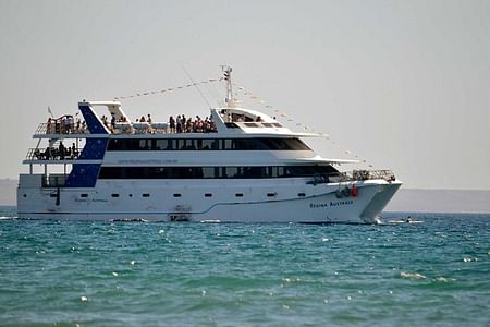 Puerto Madryn Scenic Cruise to Peninsula Valdes and Sea Lion Reserve