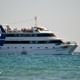 Puerto Madryn Gulf Cruise