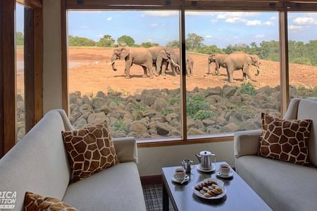 5 DAYS AMBOSELI/TSAVO EAST/TSAVO WEST/TAITA HILLS SANCTUARY SAFARI.