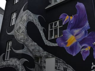 Reykjavik Street Art Backstreets and Stories , photo 8