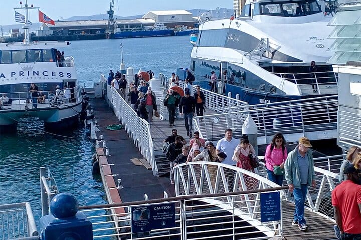  Robben Island, Kirstenbosch Gardens and Groot Constantia Tour 5