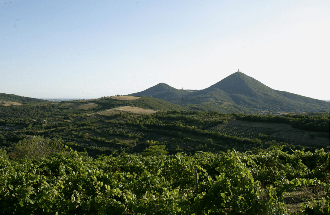Winery Tour & Tasting on Padua Hills 3