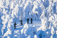 Cross Country Skiing Trip - Saariselkä 8