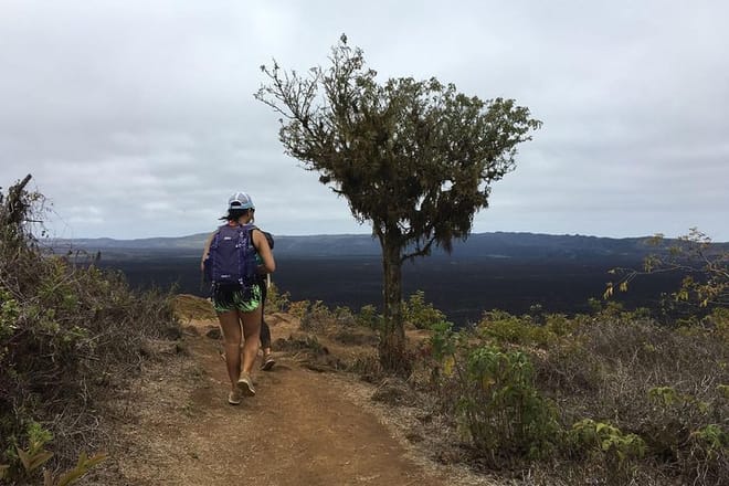 Tourists Hiking