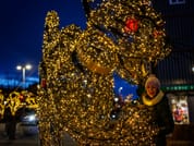 Golden Circle & Reykjavík Christmas Walk 5