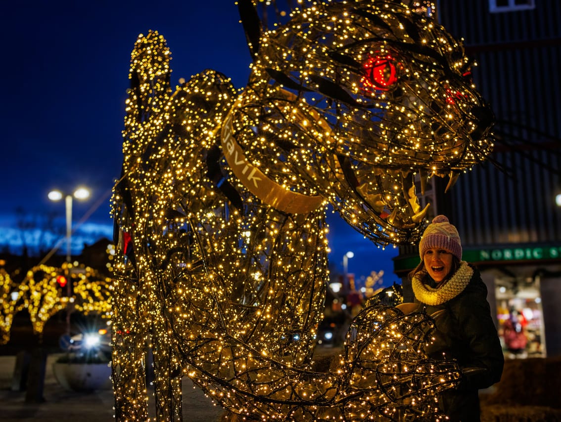 Golden Circle & Reykjavík Christmas Walk 5