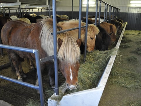 Laxnes Advanced , photo 3