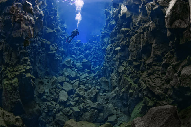 Diving Silfra & Whale Watching photo 2