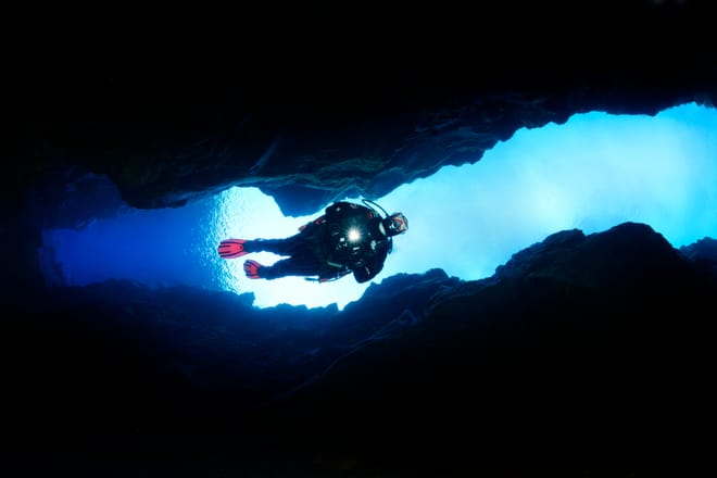 Diving Silfra & Whale Watching photo 3