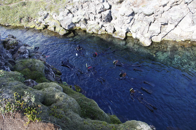 Snorkeling Silfra & Whale Watching photo 3