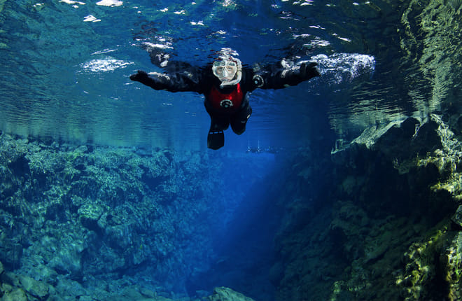 Snorkeling Silfra & Whale Watching photo 5