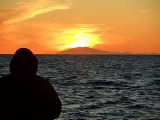 Reykjavík Classic Whales in the Midnight Sun, photo 16