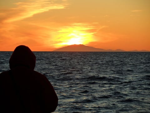 Reykjavík Classic Whales in the Midnight Sun, photo 16