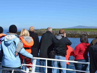 Reykjavík Classic Puffin Watching, photo 16