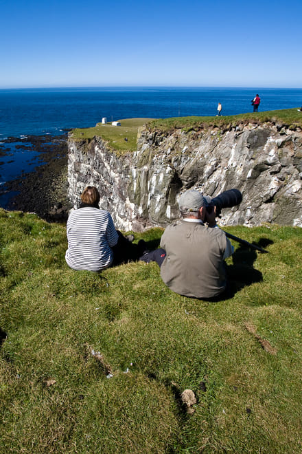 THE WONDER WORLD OF LÁTRABJARG - hiking photo 4