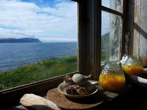Midnight Sun & Arctic Foxes, photo 3
