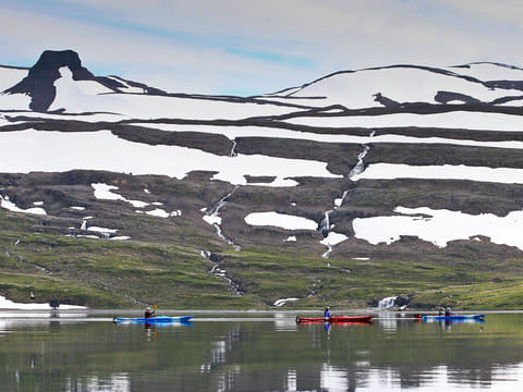 Midnight Sun & Arctic Foxes, photo 4