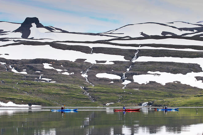 Midnight Sun & Arctic Foxes photo 4