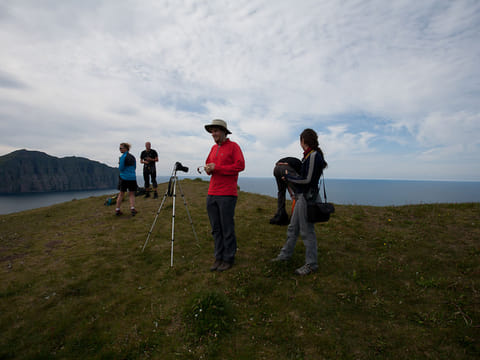 Hornvík Heights and Sights, photo 5