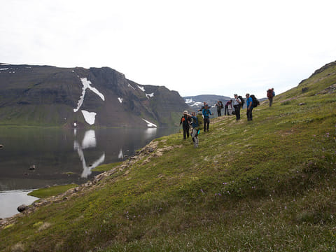 Hornvík Heights and Sights, photo 3