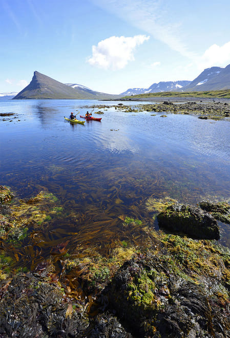 Paddle in the Wild Iceland