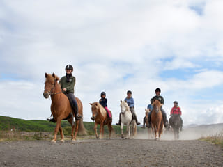 Lava Tour - Horseback Riding through the Lava Fields, photo 9