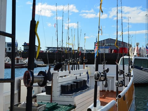 Sea Angling, photo 3