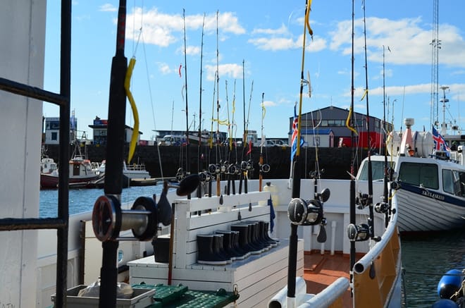 Sea Angling 2