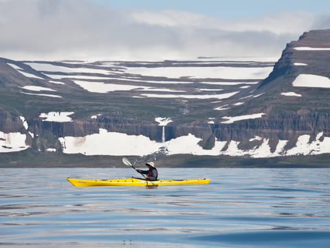 Seabird Discovery , photo 2