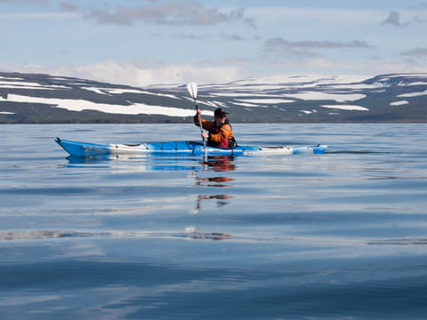 Seabird Discovery , photo 5