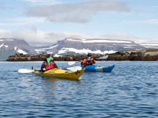 Seabird Discovery , photo 6