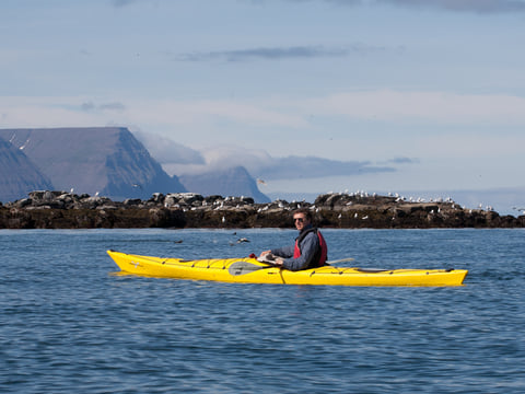 Seabird Discovery , photo 7