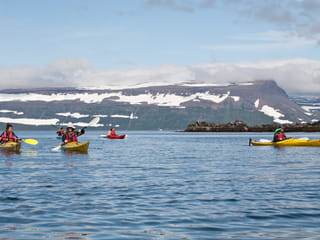 Seabird Discovery , photo 9