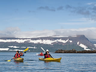 Seabird Discovery , photo 10