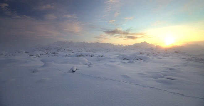 Golden Circle & Reykjavík Christmas Walk photo 4