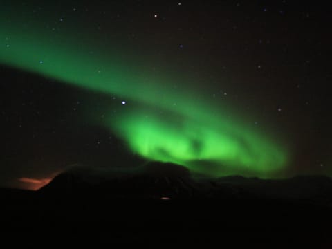  Northern Lights minibus: Hunting in the North, photo 4