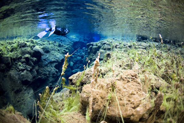 Horse Riding & Snorkeling from Reykjavik photo 2