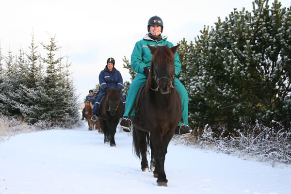 Horse riding on the Fast Lava day tour from Reykjavik