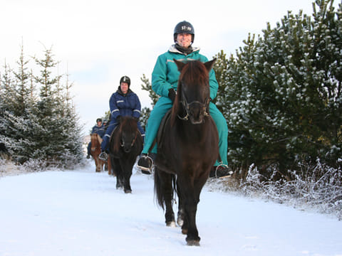 Horse riding on the Fast Lava day tour from Reykjavik