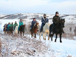 Horse riding on the Fast Lava day tour from Reykjavik