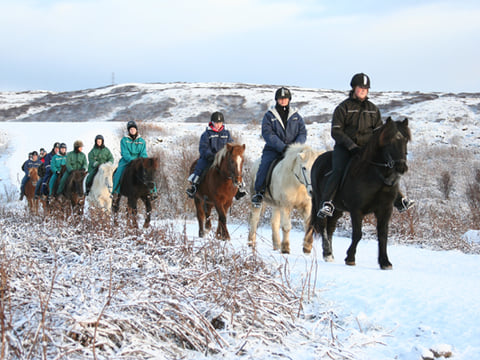 Horse riding on the Fast Lava day tour from Reykjavik