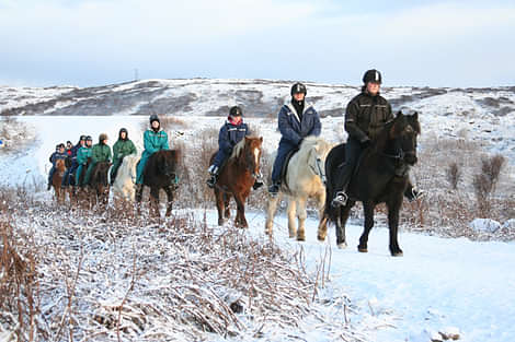 Horse riding on the Fast Lava day tour from Reykjavik