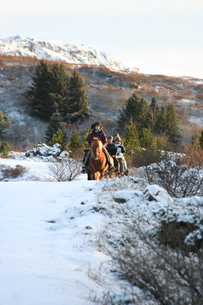 Horse riding on the Fast Lava day tour from Reykjavik