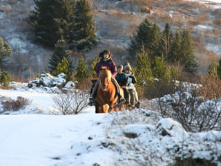 Horse riding on the Fast Lava day tour from Reykjavik