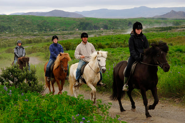 Horse riding on the Fast Lava day tour from Reykjavik