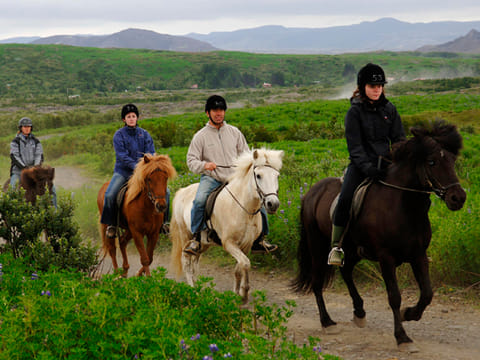 Horse riding on the Fast Lava day tour from Reykjavik